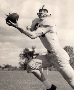 wilson_speed